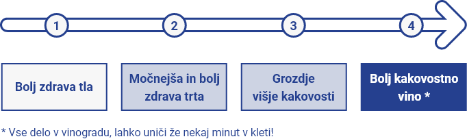 miselni-vzorec-3