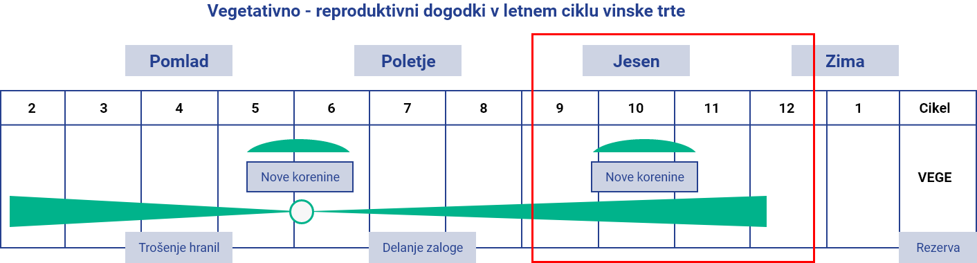 miselni-vzorec-4